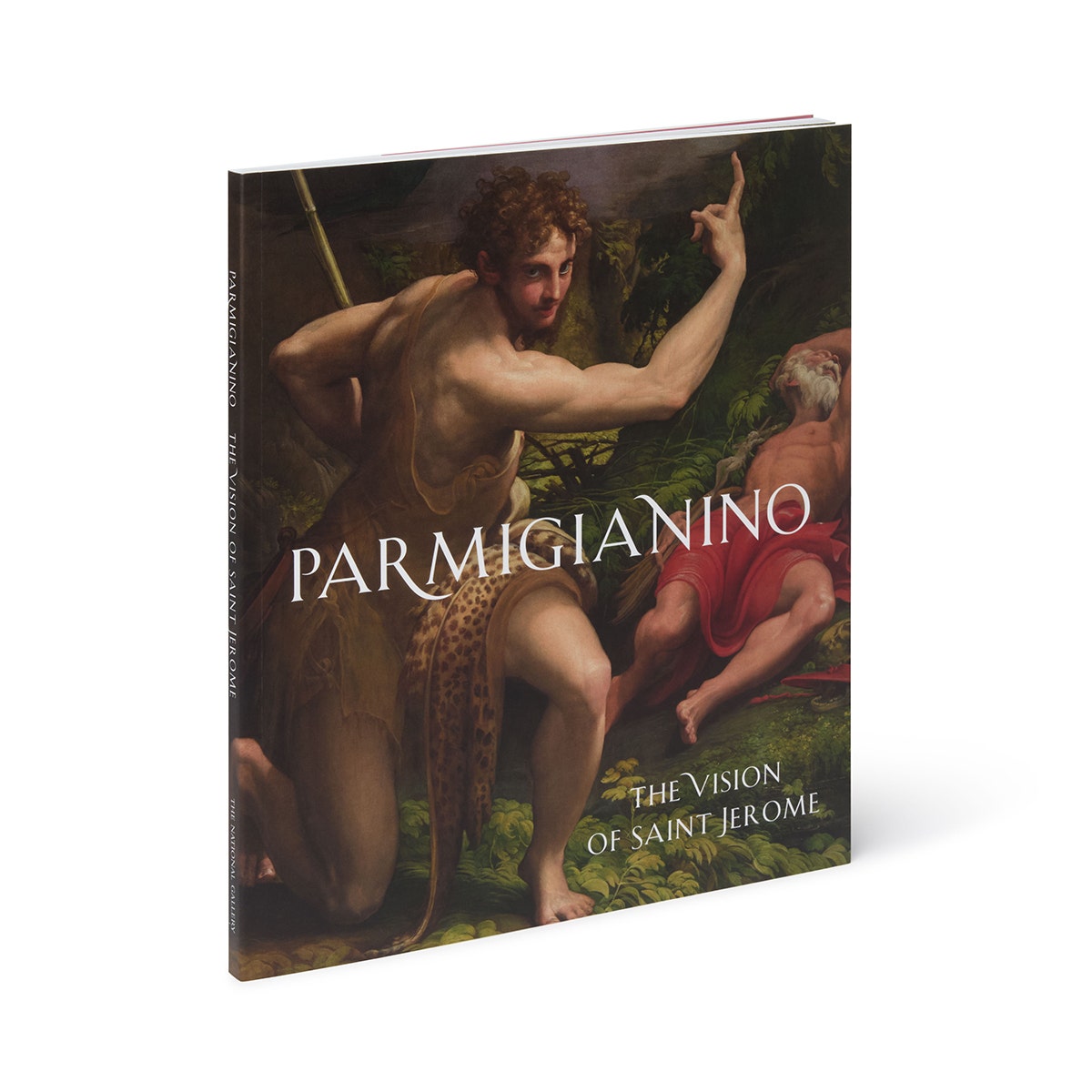 Parmigianino: The Vision of Saint Jerome Exhibition Catalogue
