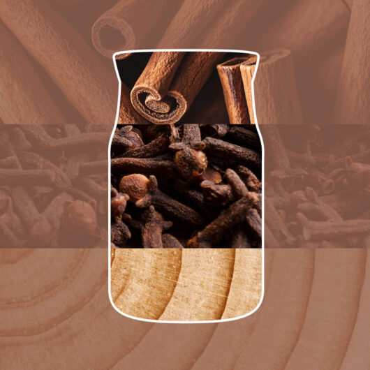 Cinnamon Stick