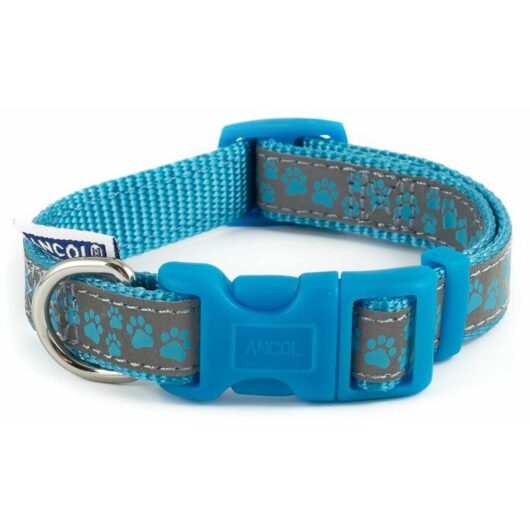 Collar Reflective Paw Blue - 20-30 - 583973 - Ancol