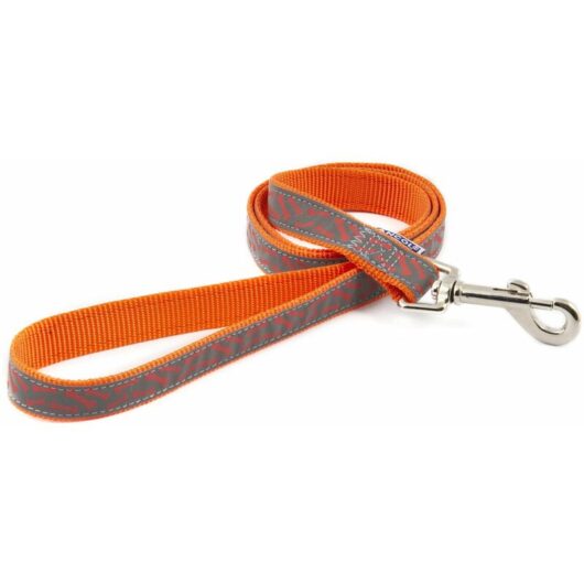 Lead Reflective Bone Orange - 100-1 - 584025 - Ancol